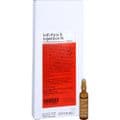 INFI PARA B Injektion N Ampullen – Bild 3
