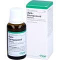 APIS HOMACCORD Liquid – Bild 2