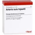 ARTERIA SUIS Injeel Ampullen – Bild 2