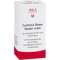 CANTHARIS BLASEN Globuli velati – Bild 3