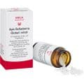 APIS BELLADONNA Globuli velati – Bild 2