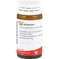 APIS BELLADONNA Globuli velati – Bild 1