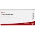 BRONCHI PLANTAGO Inject Ampullen – Bild 1