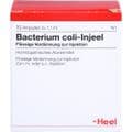 BACTERIUM COLI Injeel Ampullen – Bild 1