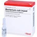 BACTERIUM COLI Injeel Ampullen – Bild 3