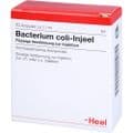 BACTERIUM COLI Injeel Ampullen – Bild 5