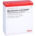 BACTERIUM COLI Injeel Ampullen – Bild 2