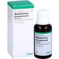 BELLADONNA HOMACCORD Tropfen – Bild 3