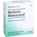 BERBERIS HOMACCORD Ampullen – Bild 4