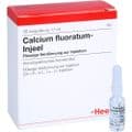 CALCIUM FLUORATUM INJEEL Ampullen – Bild 4