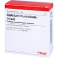 CALCIUM FLUORATUM INJEEL Ampullen – Bild 5