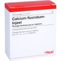 CALCIUM FLUORATUM INJEEL Ampullen – Bild 2