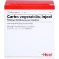 CARBO VEGETABILIS INJEEL Ampullen – Bild 1