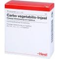 CARBO VEGETABILIS INJEEL Ampullen – Bild 5