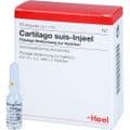 CARTILAGO suis Injeel Ampullen – Bild 3