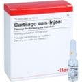 CARTILAGO suis Injeel Ampullen – Bild 4
