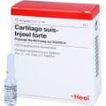 CARTILAGO suis Injeel forte Ampullen – Bild 3