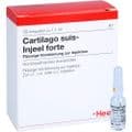 CARTILAGO suis Injeel forte Ampullen – Bild 4