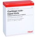 CARTILAGO suis Injeel forte Ampullen – Bild 2
