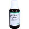 CEANOTHUS-HOMACCORD Liquidum – Bild 5