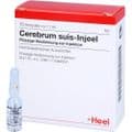 CEREBRUM SUIS Injeel Ampullen – Bild 4