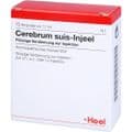 CEREBRUM SUIS Injeel Ampullen – Bild 3