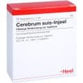 CEREBRUM SUIS Injeel Ampullen – Bild 2