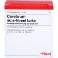 CEREBRUM SUIS Injeel forte Ampullen – Bild 1