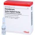 CEREBRUM SUIS Injeel forte Ampullen – Bild 3