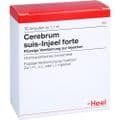 CEREBRUM SUIS Injeel forte Ampullen – Bild 2