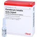 CEREBRUM TOTALIS suis Injeel Ampullen – Bild 3