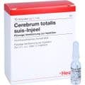 CEREBRUM TOTALIS suis Injeel Ampullen – Bild 4