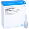 INJEEL Chol Ampullen – Bild 4