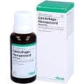 CIMICIFUGA HOMACCORD Tropfen – Bild 2