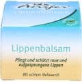 ANIFER Lippenbalsam – Bild 1