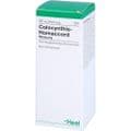COLOCYNTHIS HOMACCORD Tropfen – Bild 5