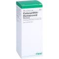 COLOCYNTHIS HOMACCORD Tropfen – Bild 2