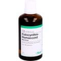 COLOCYNTHIS HOMACCORD Tropfen – Bild 5