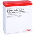 COLON SUIS Injeel Ampullen – Bild 2
