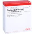 CRATAEGUS INJEEL Ampullen – Bild 1