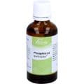 PHOSPHORUS SIMILIAPLEX – Bild 5