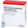 DISCUS INTERVERTEBRALIS suis Injeel forte Ampullen – Bild 3