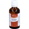 OKOUBAKA SIMILIAPLEX – Bild 5