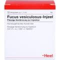 FUCUS VESICULOSUS INJEEL Ampullen – Bild 1