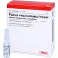 FUCUS VESICULOSUS INJEEL Ampullen – Bild 3