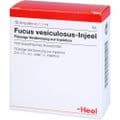 FUCUS VESICULOSUS INJEEL Ampullen – Bild 5