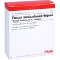FUCUS VESICULOSUS INJEEL Ampullen – Bild 2