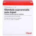 GLANDULA SUPRARENALIS suis Injeel Ampullen – Bild 1