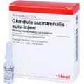 GLANDULA SUPRARENALIS suis Injeel Ampullen – Bild 4
