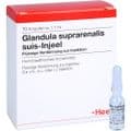 GLANDULA SUPRARENALIS suis Injeel Ampullen – Bild 5